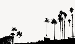 Smartphones In 2025 What Consumers Really Search Before Buying