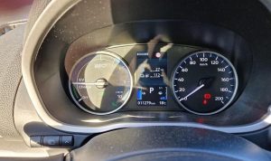 Top Food Delivery Services To Buy Customized Meals Monthly